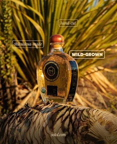 sotol hacienda